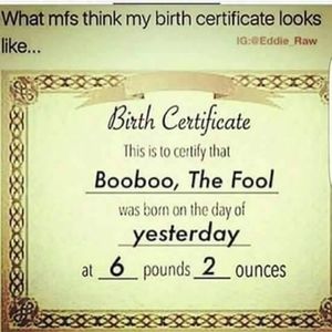 Meet your Posher, Brandon